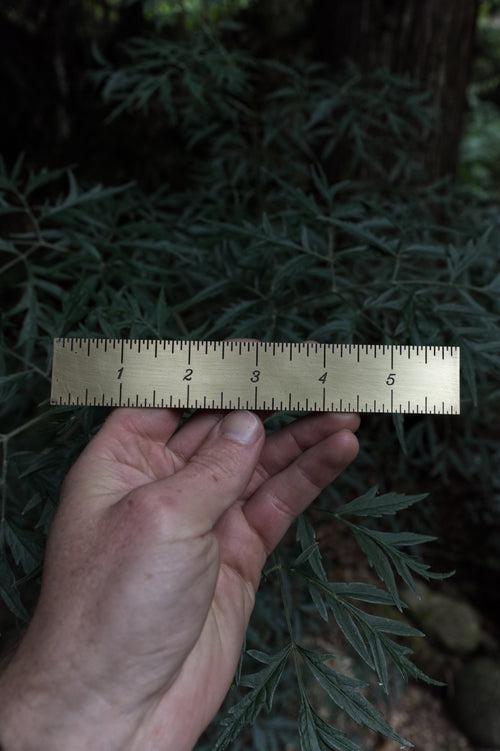 6" Brass Ruler